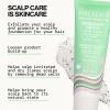 PACIFICA Rosemary Detox Scalp Scrub by Pacifica for Women – 4 oz Scrub, White(4 Fl Oz (Pack of 1))