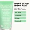 PACIFICA Rosemary Detox Scalp Scrub by Pacifica for Women – 4 oz Scrub, White(4 Fl Oz (Pack of 1))