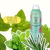 Pacifica Rosemary Mint Scalp Refresher Spray 5oz – Cooling Daily Scalp Treatment for Itchy Dry Scalp, Refreshes & Moisturizes, Vegan Leave-In Hair Mist for All Hair Types, Non-Greasy Cruelty-Free