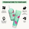 Rosemary Mint Scalp Care Shampoo & Conditioner Set – Clean Vegan Shampoo & Conditioner for Oily Or Flaky Scalp (All Hair Types), A Balanced, Soothed Scalp, No Silicones or Parabens(Mint)