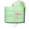 PACIFICA Beauty, Coco Bond Damage Care Leave-In Repair Mask Treatment, Dry & Damaged Hair from Bleach, Color, Chemical Services, Chlorine, & Heat, Coconut, Vegan(Scalp Smoothie)