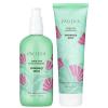 Rosemary Mint Scalp Care Shampoo & Conditioner Set – Clean Vegan Shampoo & Conditioner for Oily Or Flaky Scalp (All Hair Types), A Balanced, Soothed Scalp, No Silicones or Parabens(Mint)