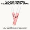 Pacifica Plumping Lip Gloss – Berry Juice Flavored No-Sting Lip Plumper for Fuller, Hydrated Lips, Non-Sticky Volumizing Shine with Shea & Jojoba, Natural Berry Flavor, Vegan & Cruelty-Free 0.14oz