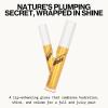 Pacifica Plumping Lip Gloss – Vanilla Bean Creamy Neutral Tint Hydrating Lip Oil Balm, Gentle Lip Plumper w/Shea & Jojoba, No-Sting High Shine, Vegan & Cruelty-Free Clean Beauty 0.14oz