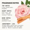 Pacifica Hair & Body Fragrance Mist – Tuscan Blood Orange – Sweet Citrus Scented Hair Perfume and Body Spray – Alcohol-Free, Long-Lasting Clean Fragrance, Vegan & Cruelty-Free, 6 Fl Oz(Mini Dream Moon)