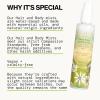 Pacifica Hair & Body Fragrance Mist – Tuscan Blood Orange – Sweet Citrus Scented Hair Perfume and Body Spray – Alcohol-Free, Long-Lasting Clean Fragrance, Vegan & Cruelty-Free, 6 Fl Oz(Tahitian Gardenia)