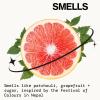 Pacifica Beauty, Himalayan Patchouli Berry Spray Perfume, Made with Natural & Essential Oil, Grapefruit + Patchouli Notes, Clean Perfume & Fragrance, Vegan + Cruelty Free, Phthalate-Free, Paraben-Free