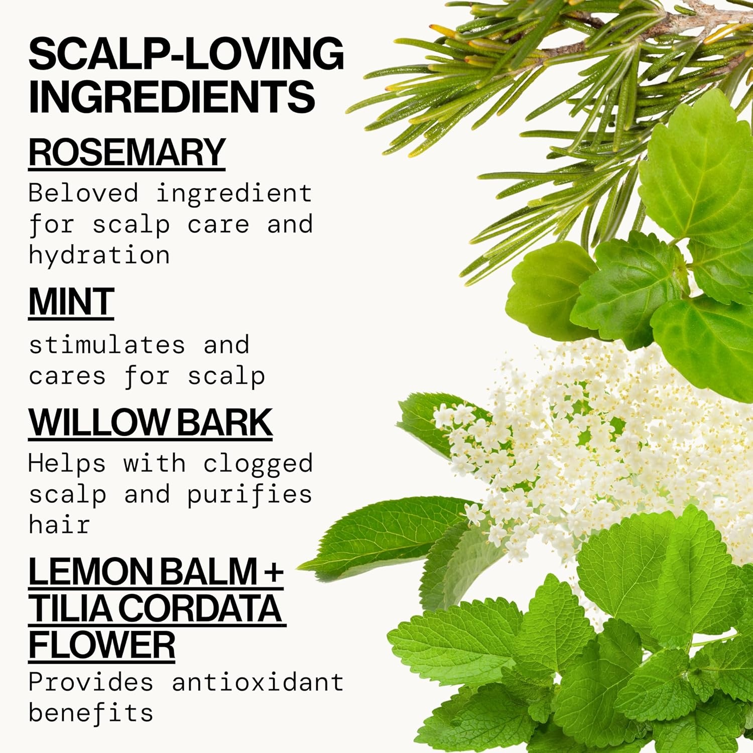 image:imagePacifica Rosemary Mint Scalp Love Conditioner for Flaky and Dry Scalp Hydrates Hair Treatment for Scalp Care wRosemary amp Peppermint Vegan Dermatologist Tested8 Ounce Pack of 1